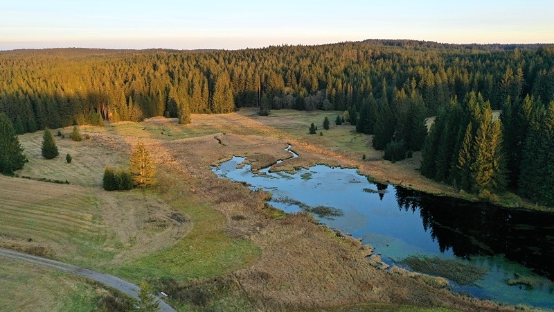 Huťský rybník